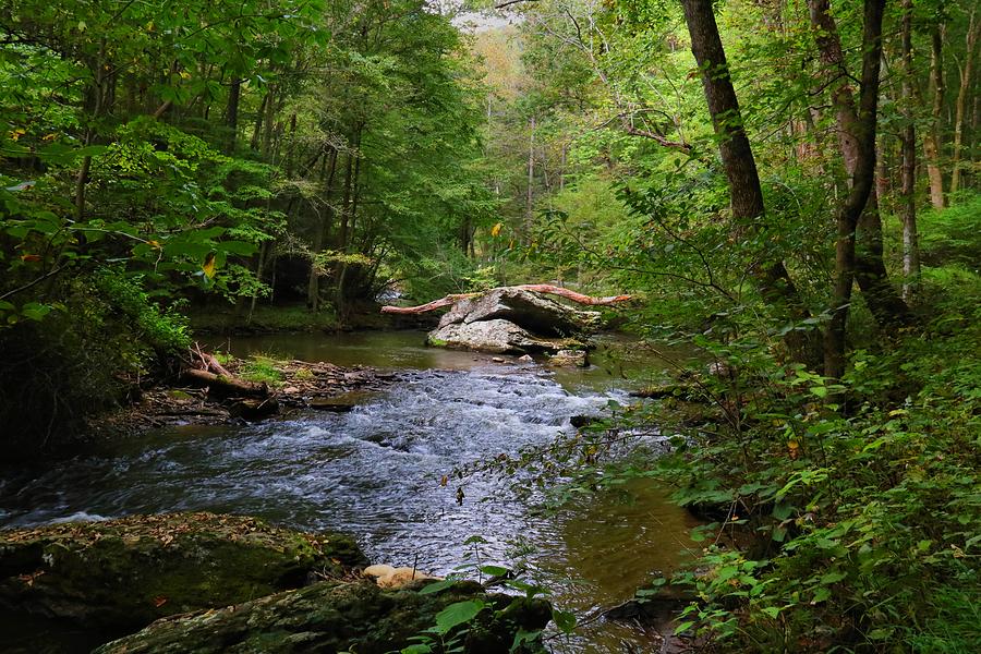 Dan River Rapids Photograph by Kathryn Meyer - Fine Art America