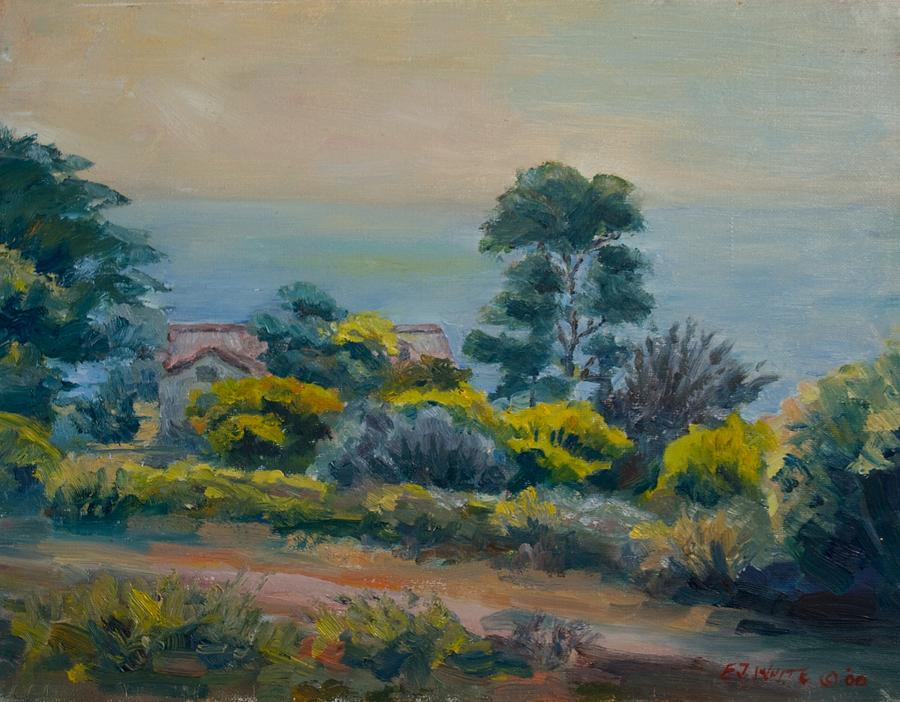 Dana Point Overlook Painting by Edward White