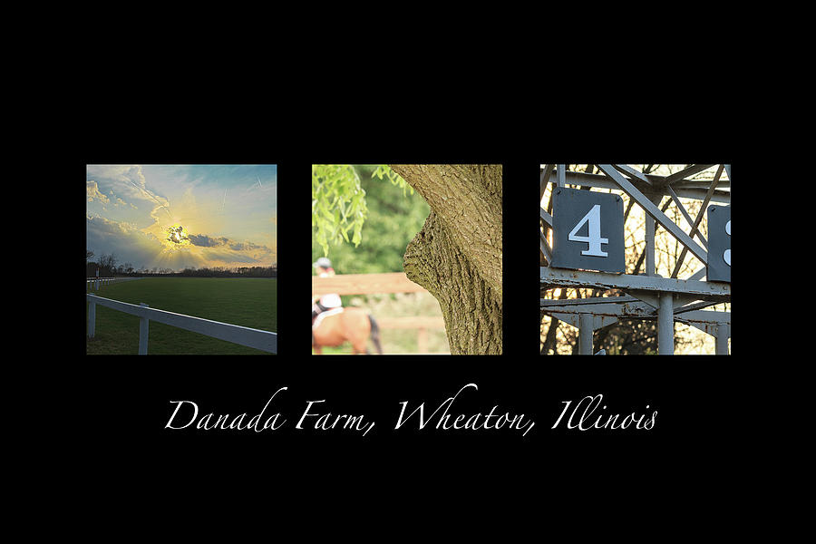 Danada Farm Racing Triptych Photograph by Joni Eskridge