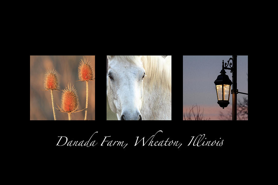 Danada Farm Triptych Photograph by Joni Eskridge