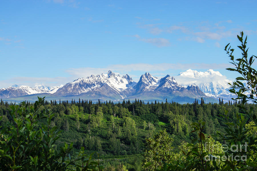 Danali Alaskan Range Photograph by Jennifer White