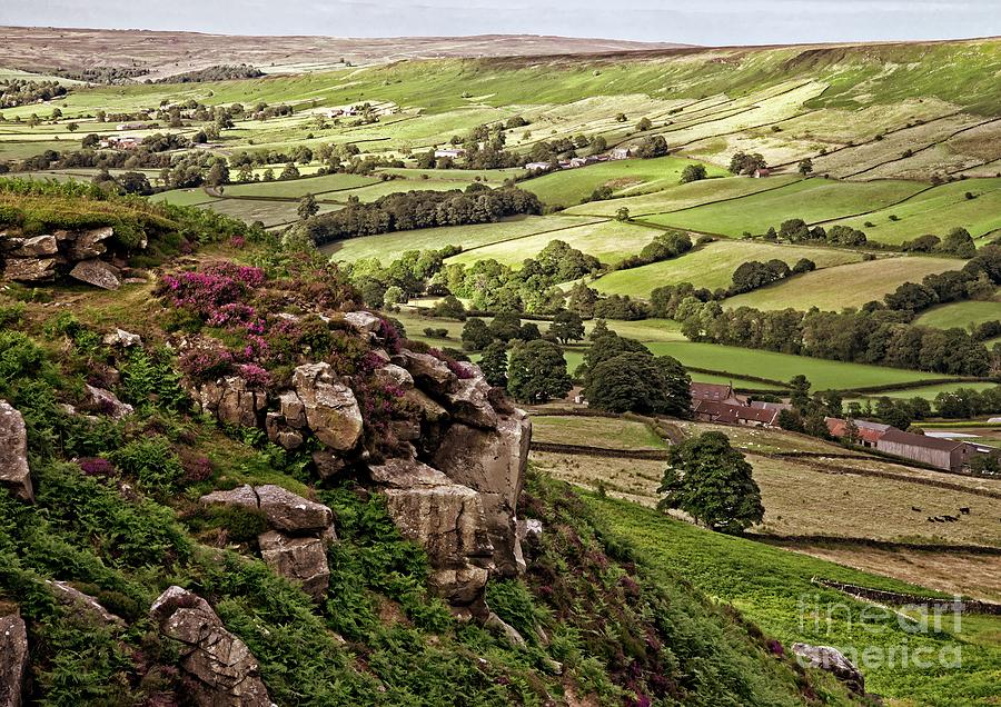 Danby Dale Yorkshire Landscape Photograph by Martyn Arnold