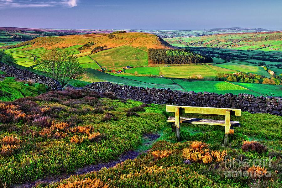 Danby Dale Yorkshire Photograph by Martyn Arnold