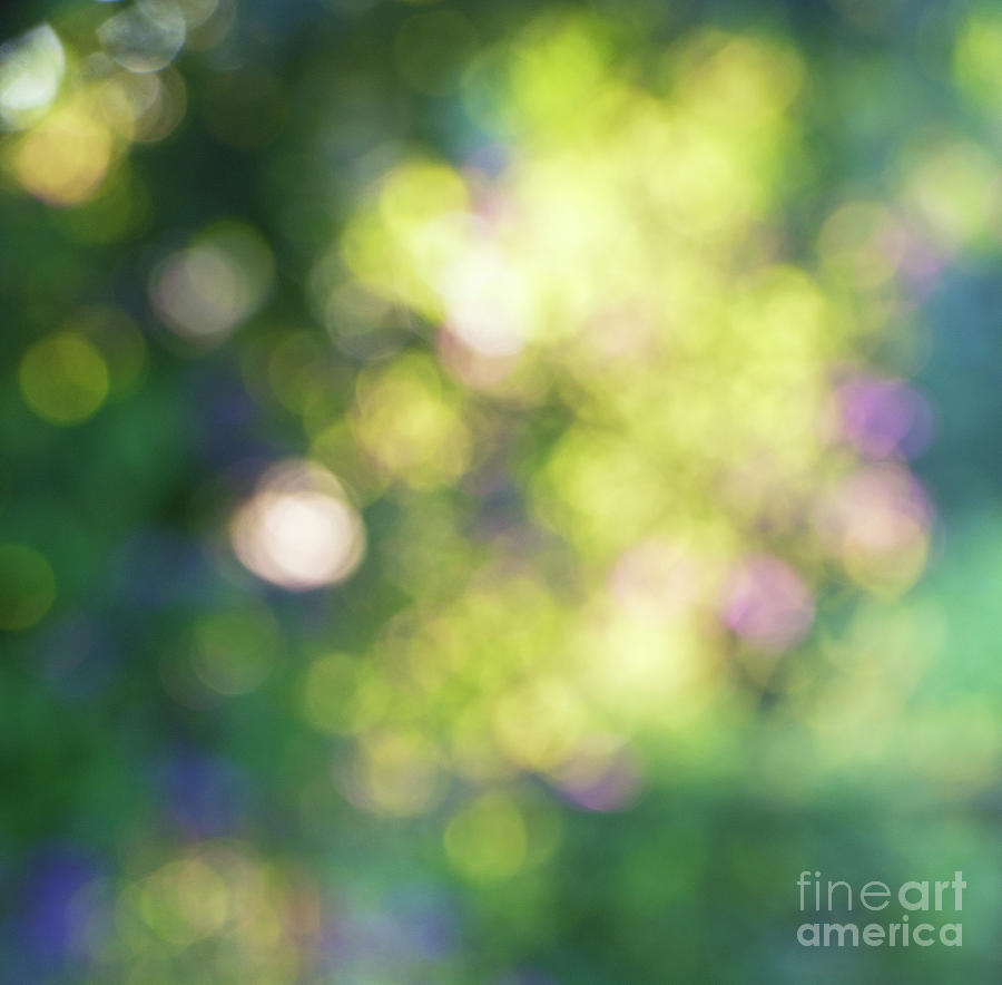 Abstract Photograph - Dance of Dappled Light by Tim Gainey