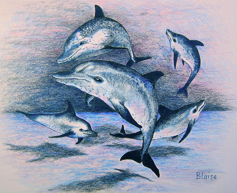 Dance of the Deep Drawing by Yvonne Blasy