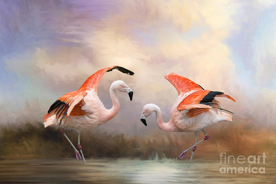 Dance of the Flamingos  Photograph by Bonnie Barry