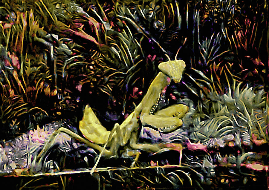 Dance of the Mantis Mixed Media by Susan Maxwell Schmidt