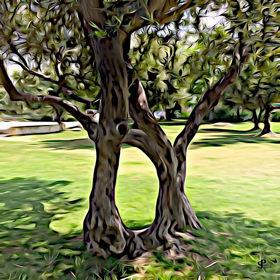 Tree Digital Art - Dance of the Olive Tree by Pamela Storch