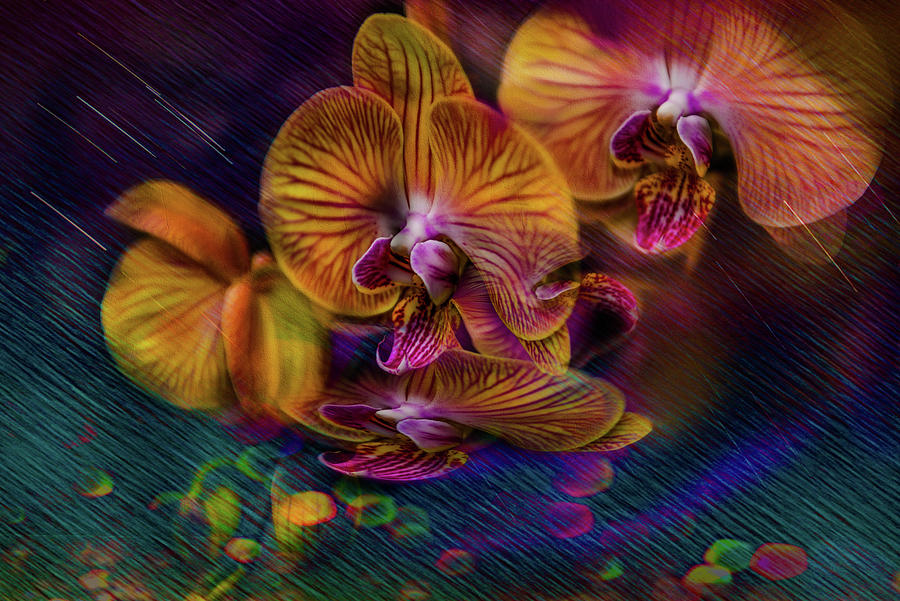 Face Mask Dance Of The Orchids Photograph