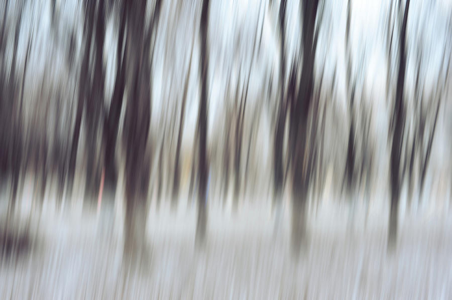 Dance of Winter Trees. Impressionism Photograph by Jenny Rainbow