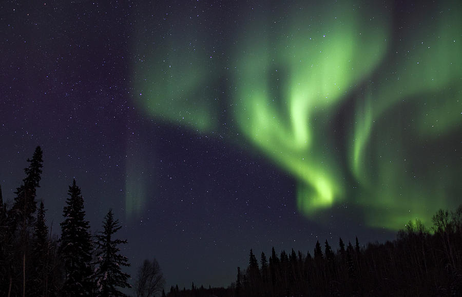 Northern Lights Photograph - Dance by Patti Lynn Northern Lights Photograph - Dance by Patti Lynn