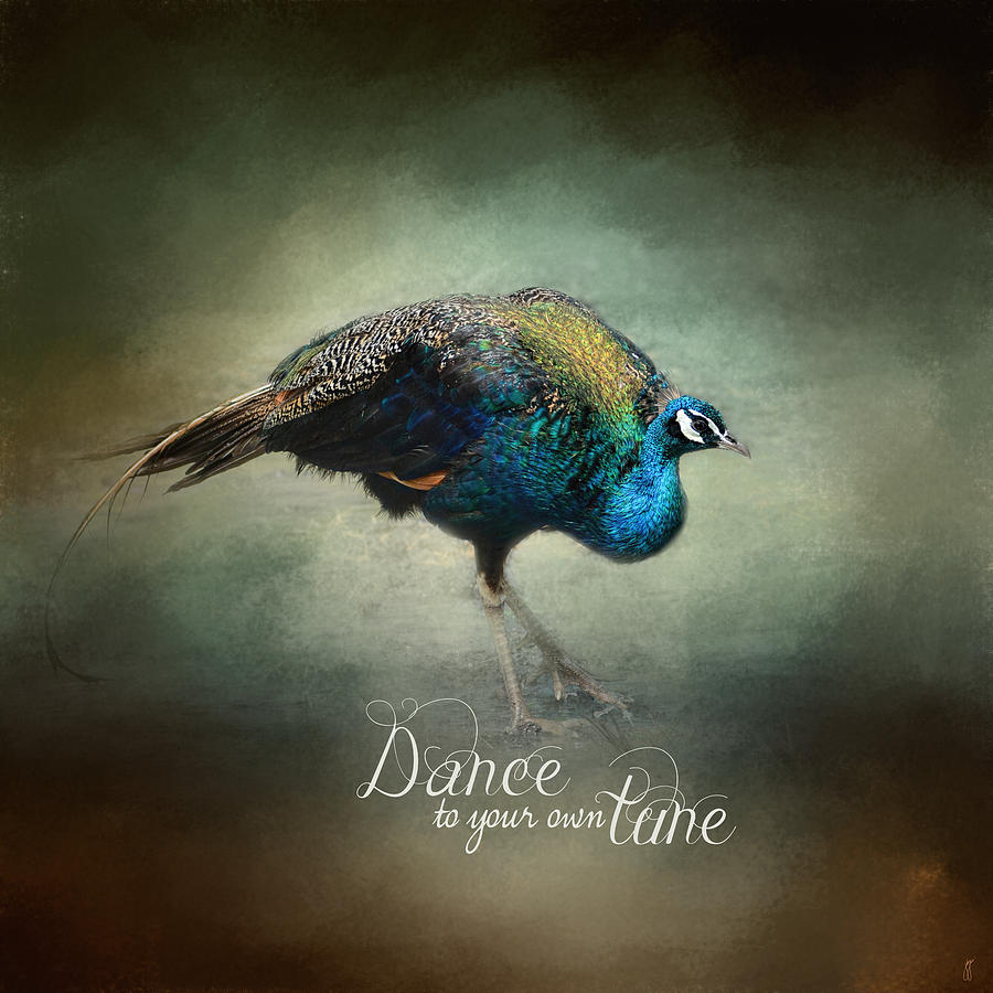 Dance To Your Own Tune - Peacock Art Photograph by Jai Johnson
