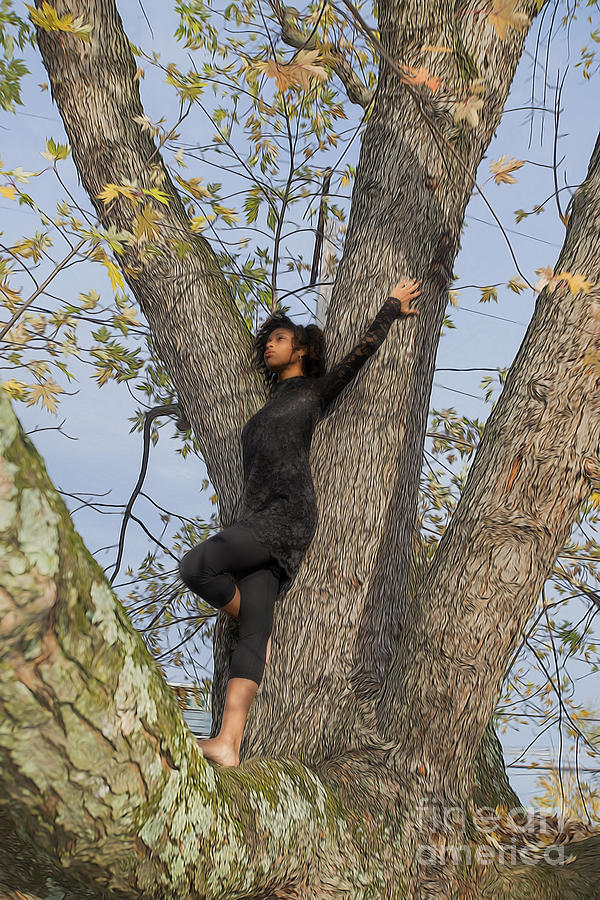 Dancer in a tree Photograph by Dan Friend