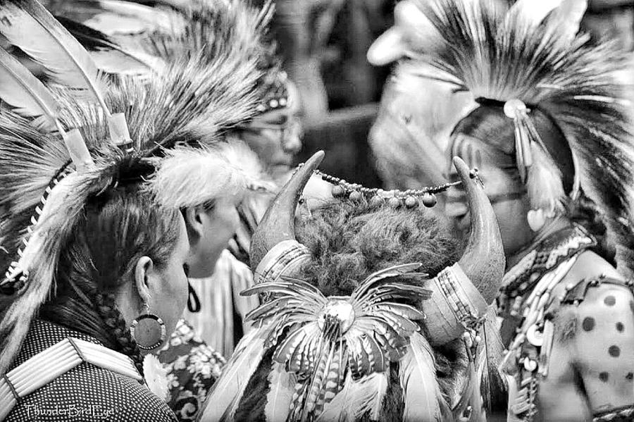 Dancers and Friends Photograph by Clarice Lakota
