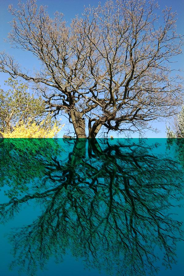 Dancers Tree Reflection  Mixed Media by Julia Woodman