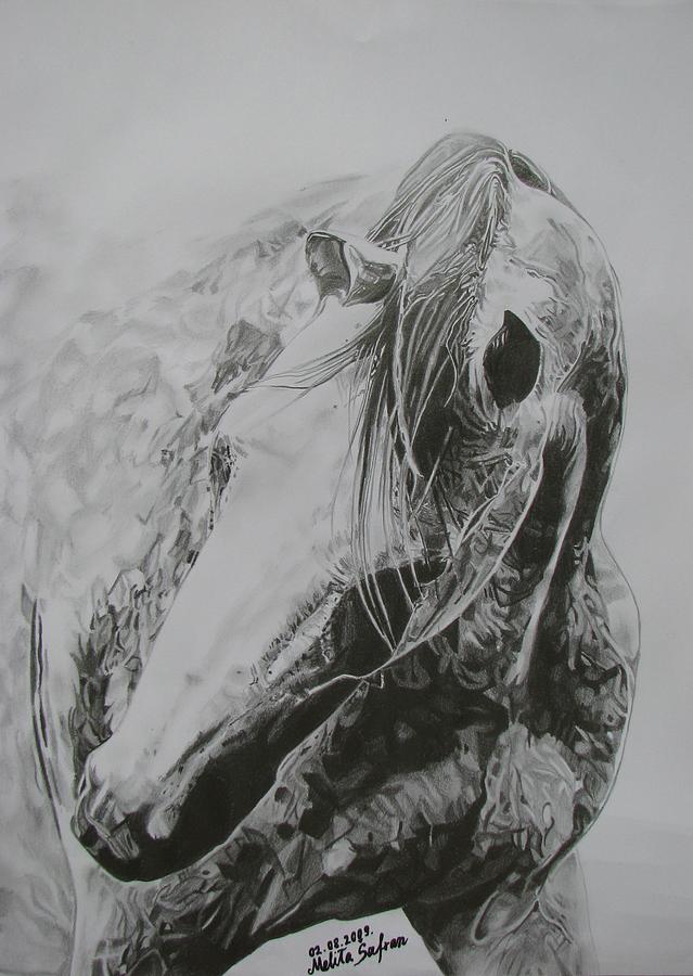 Horse Drawing - Dancing angel by Melita Safran