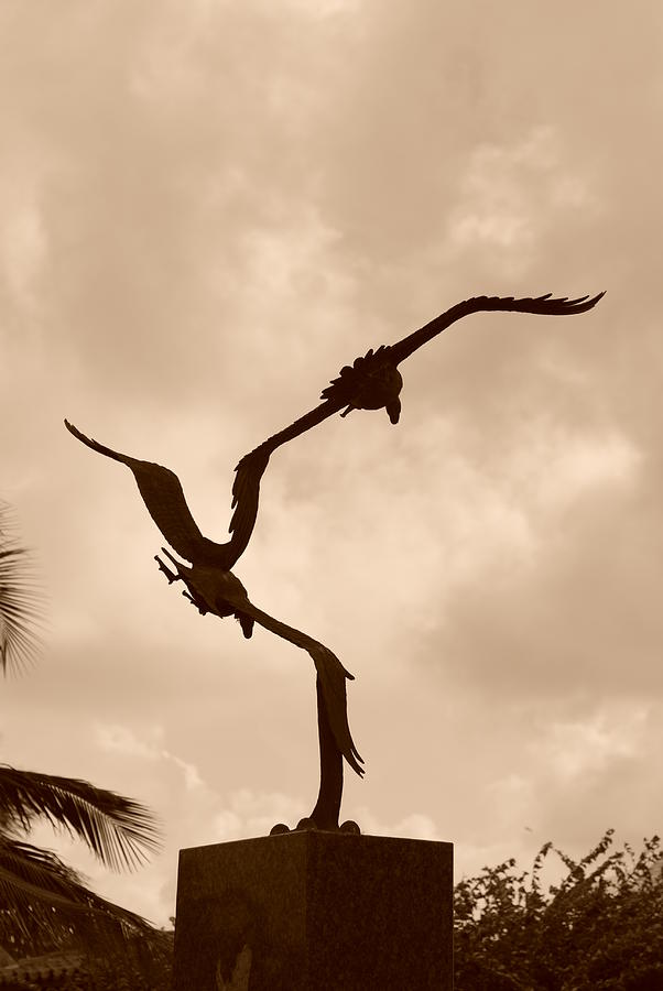 Dancing Birds Photograph by Rob Hans
