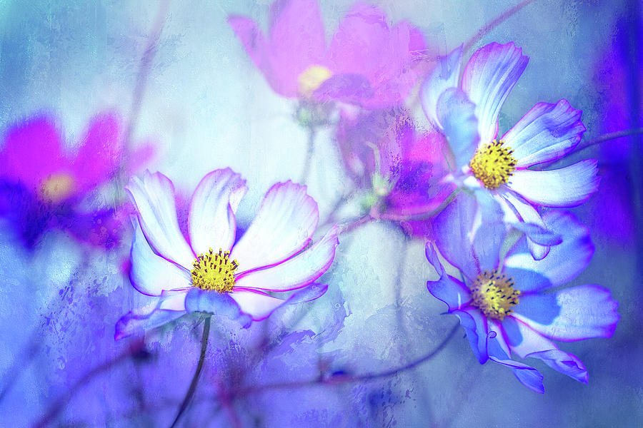 Dancing Cosmos Digital Art by Terry Davis - Fine Art America