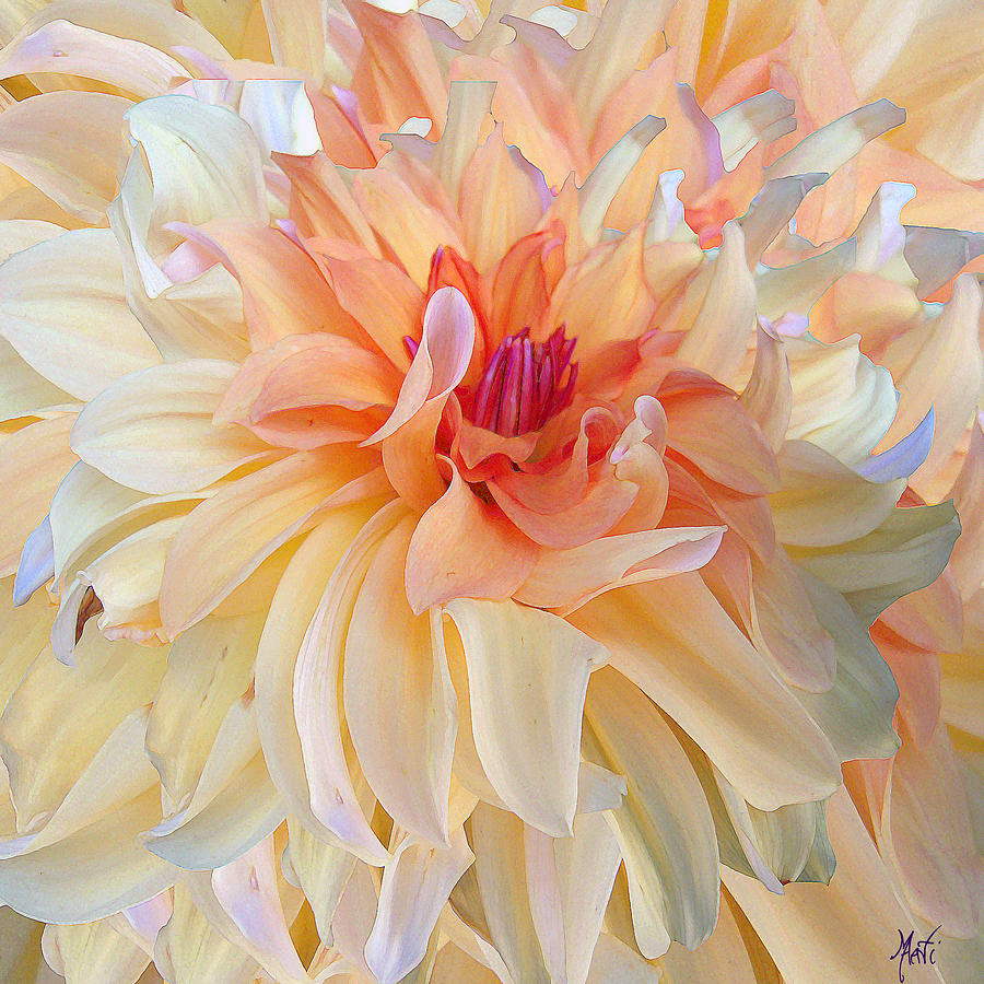 Dancing Dahlia Mixed Media