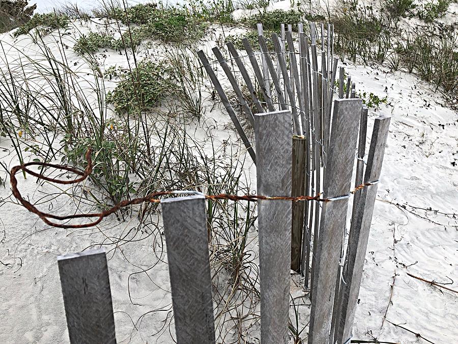 Dancing Dune Fence Photograph by Carol Riddle