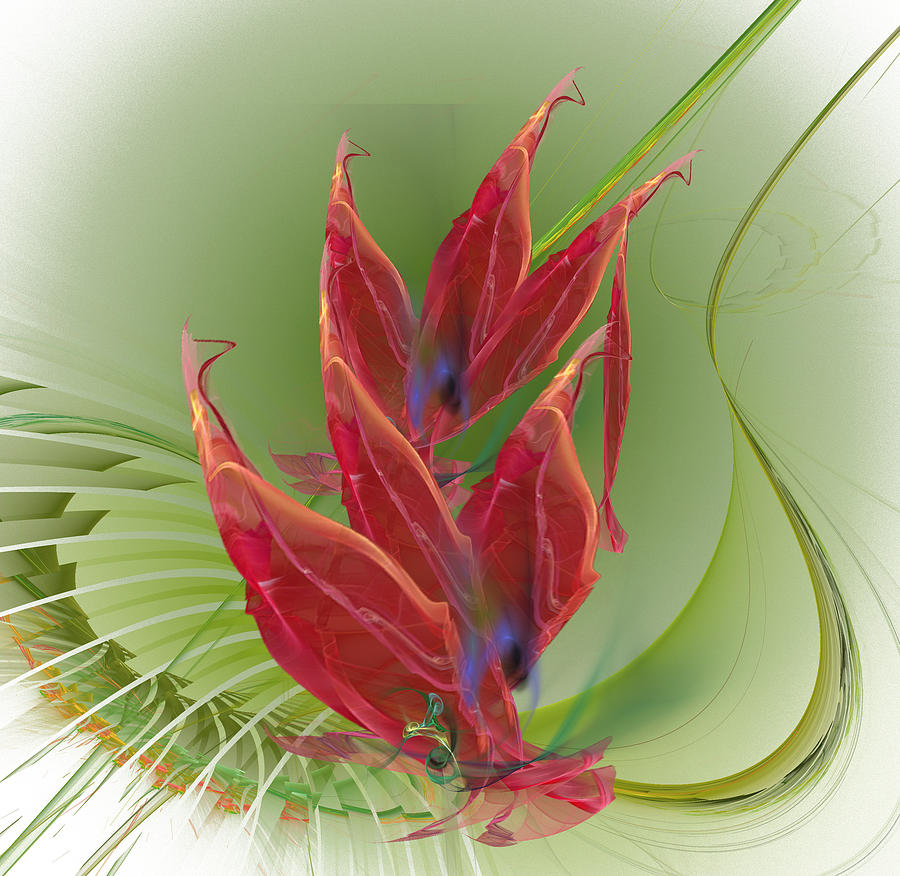 Dancing Flower Digital Art by Ilia - Dancing Flower Digital Art by Ilia -