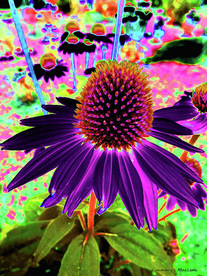 Dancing Flower Digital Art by Kimmary MacLean