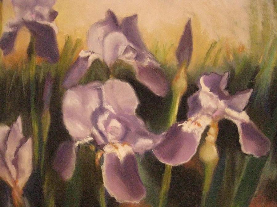 Dancing Irises Pastel by Constance Gehring