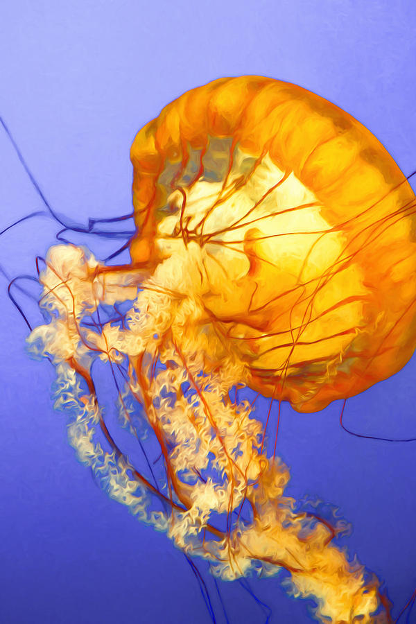 Dancing Jellyfish Photograph by Bonnie Follett