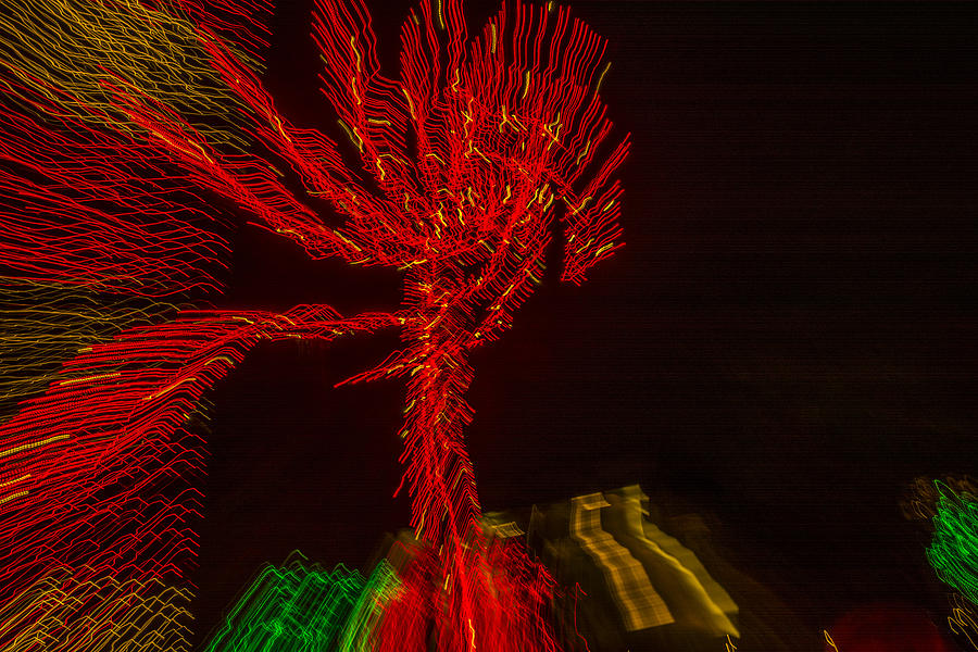 Dancing Lights 6 - Palm Tree Photograph by Penny Lisowski