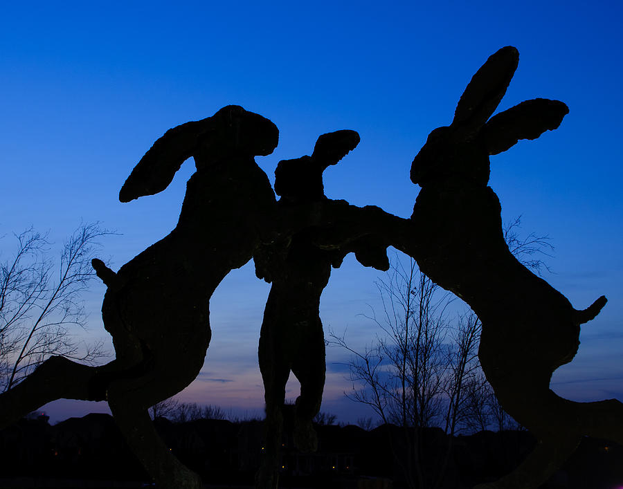 Dancing Hares at Ballantrae Photograph by Roberta Kayne