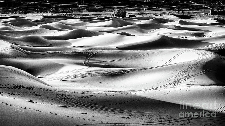 Footprints and Dancing Shadows in the Sahara Photograph by Rene Triay FineArt Photos
