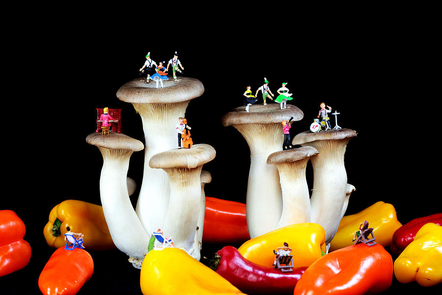 Dancing show on mushroom Photograph by Paul Ge