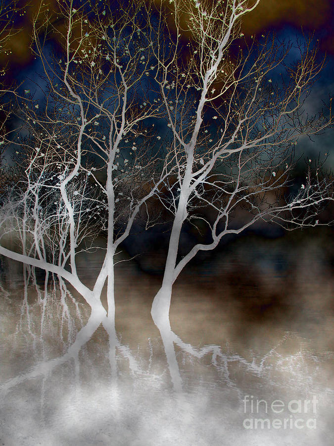 Dancing Tree Altered Photograph by Paula Guttilla