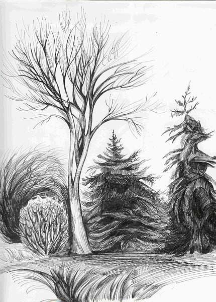 Dancing Tree  Drawing by Anna  Duyunova