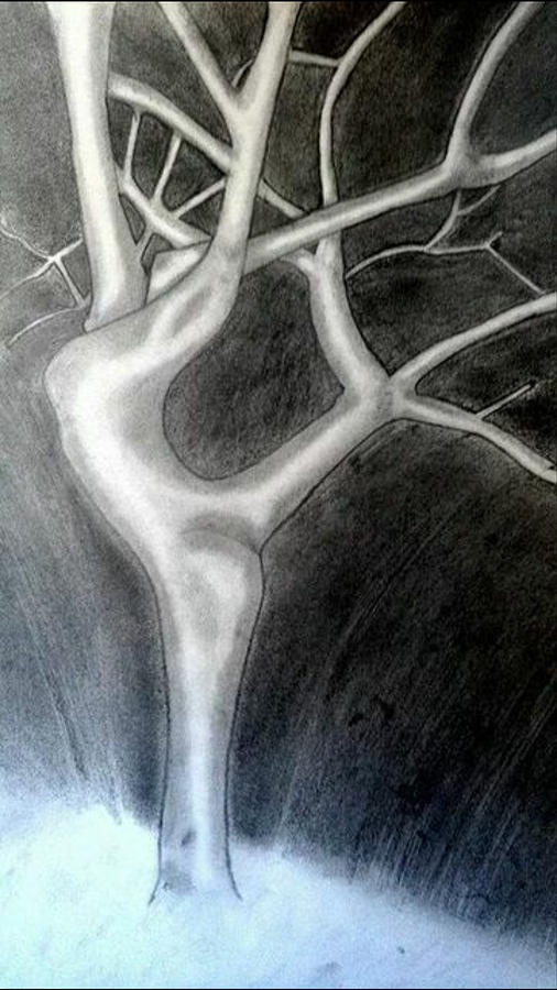 Black And White Drawing - Dancing Tree by Love Reyes