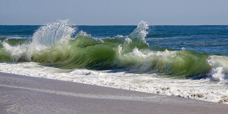 Seagull Photograph - Dancing Waves by Kelly S Andrews