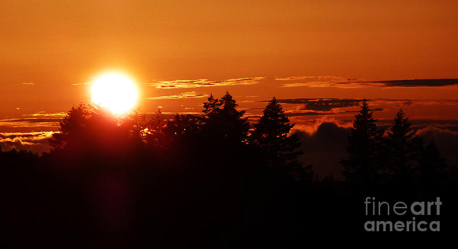 Sunset Photograph - Dancing with a Star by JoAnn SkyWatcher