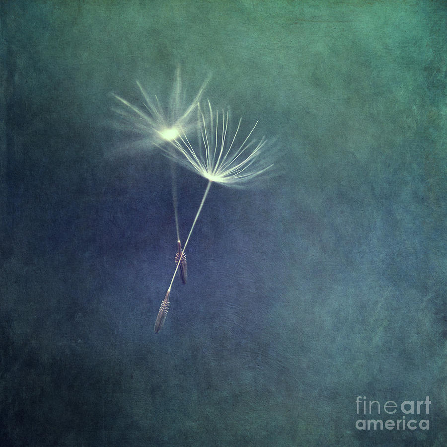 Nature Photograph - Dancing with the wind by Priska Wettstein