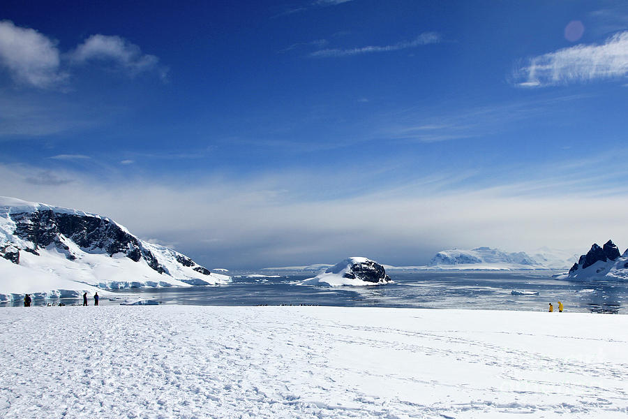 Landscape Photograph - Danco Island, Antarctica 1 by Lilach Weiss