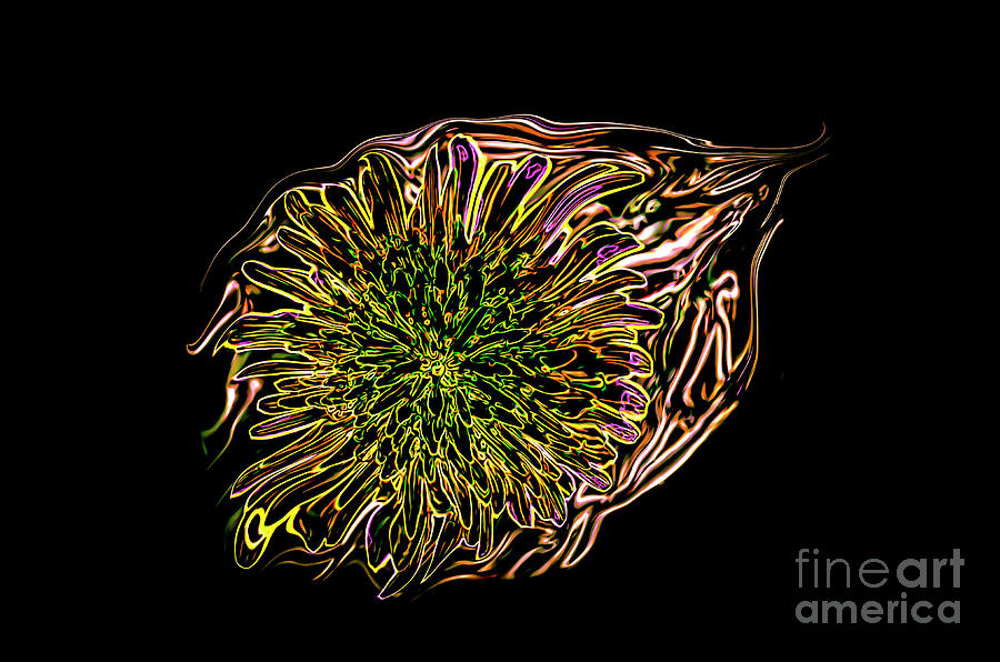 Abstract Digital Art - Dandelion Eye  by Brenda Landdeck
