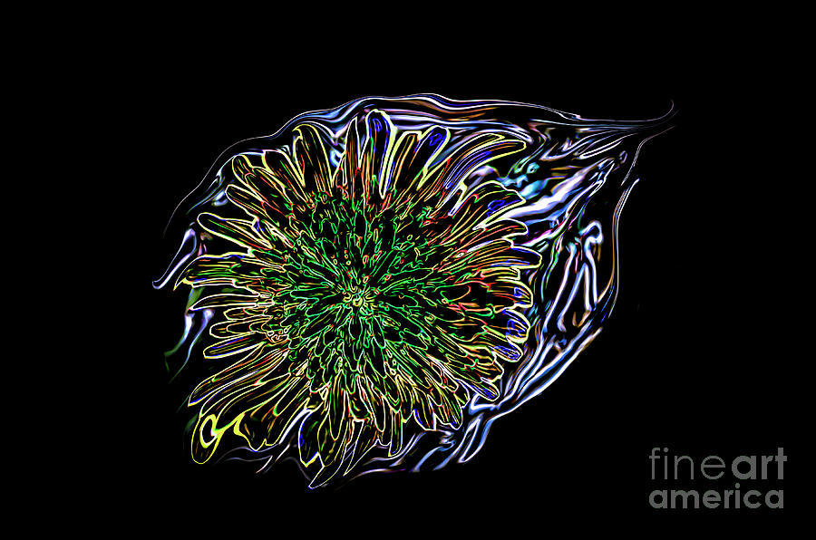 Abstract Digital Art - Dandelion Eye in Blue by Brenda Landdeck