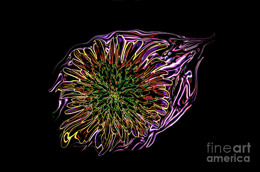 Abstract Digital Art - Dandelion Eye in Pink by Brenda Landdeck
