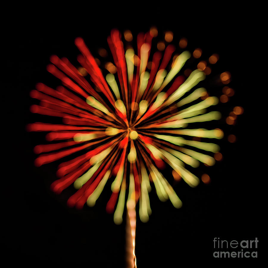 Dandelion Fireworks Photograph by Doug Sturgess
