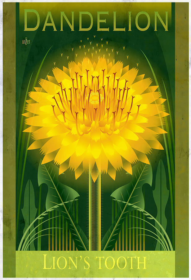 Dandelion Floral Poster Painting by Garth Glazier