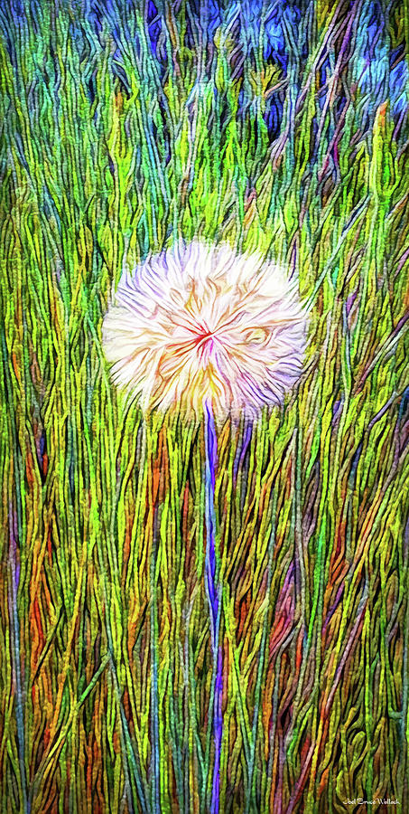 Dandelion In Glory Digital Art by Joel Bruce Wallach
