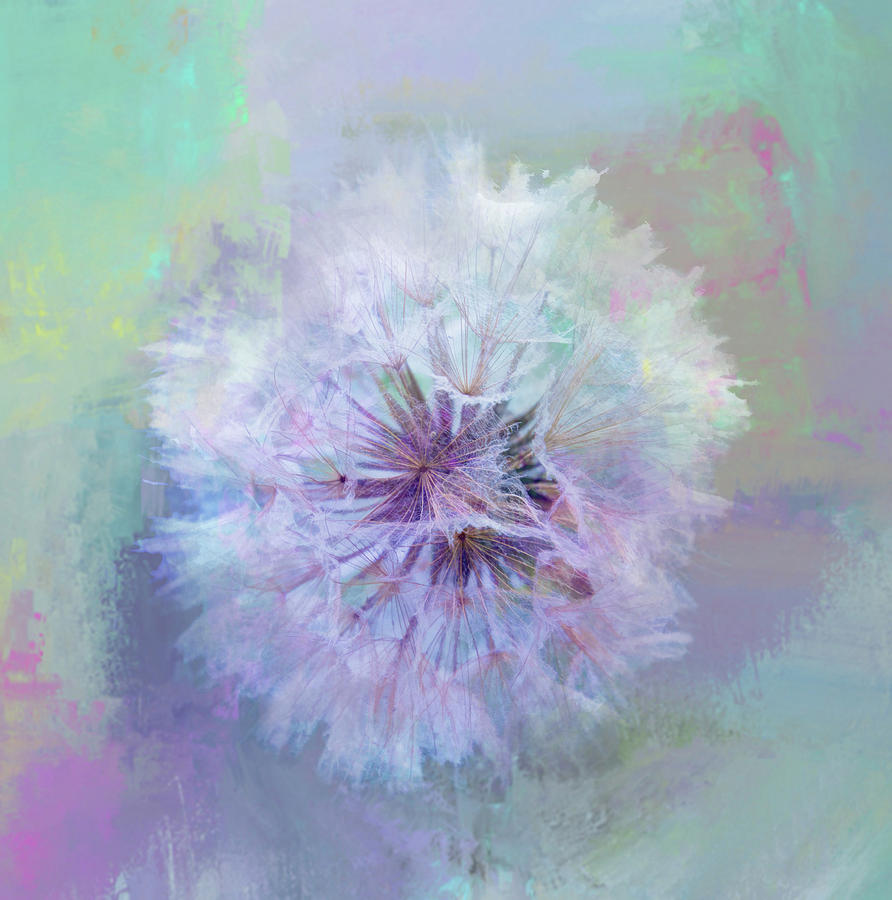 Spring Digital Art - Dandelion in Pastel by Terry Davis