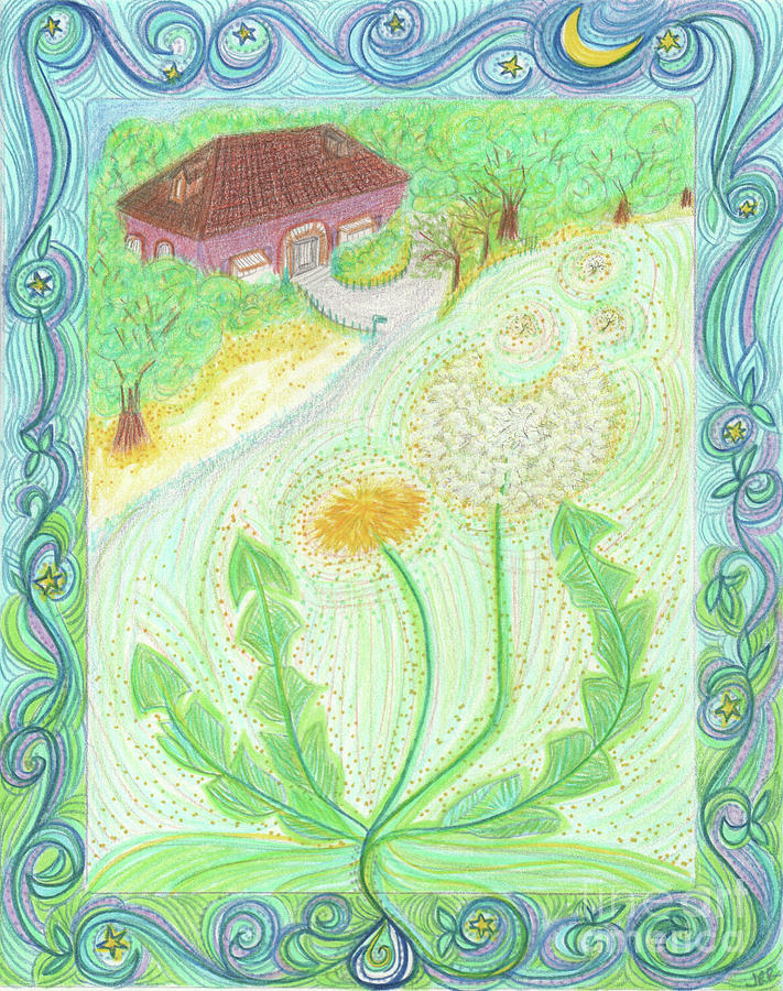 Dandelion Nation by jrr Drawing by First Star Art