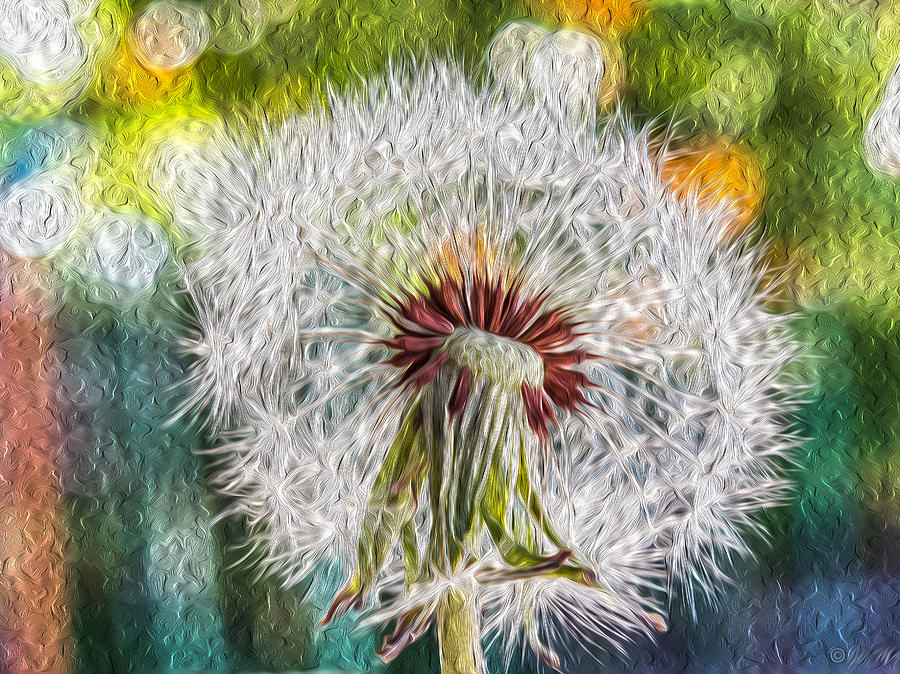 dandelion oil painting