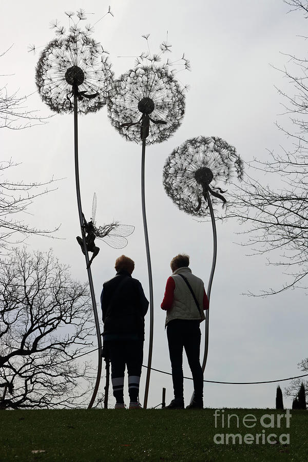 Dandelion Sculpture Silhouette Photograph by Julia Gavin