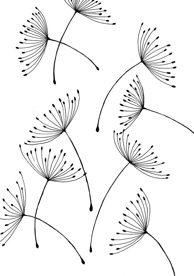 Dandelion flower drawing with flying seeds  Stock Illustration  63825017  PIXTA